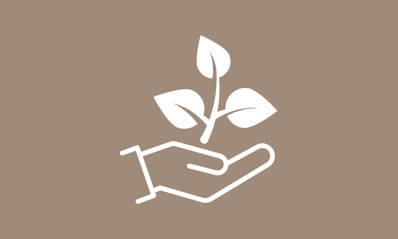 Icon mit stilisierter Hand, die drei Blätter trägt – Symbol für Nachhaltigkeit bei Sels Studio, gedruckt auf FSC®-zertifiziertem Papier aus verantwortungsvoller Forstwirtschaft