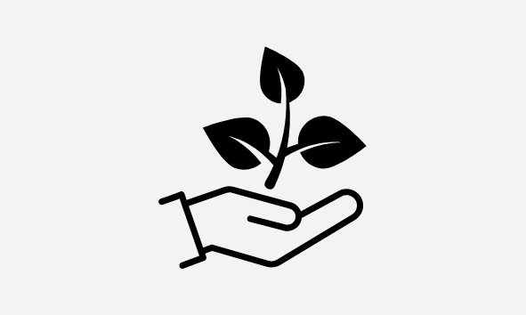 Symbolbild einer Hand, die eine Pflanze hält – Icon für Nachhaltigkeit bei Sels Studio, gedruckt auf FSC®-zertifiziertem Papier aus verantwortungsvoller Forstwirtschaft.